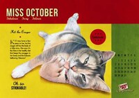 Cat Pin-Up Posters  Image 7