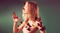 Butterfly-Clad Campaigns