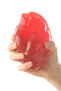 Gelatinous Anatomy