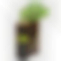 Planet-Loving Marketplaces Image 1