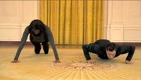 White House Viral Videos Image 3