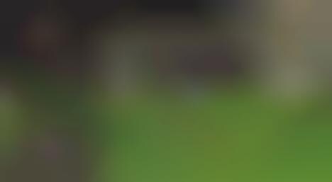 Human Bouncy Ball Sports