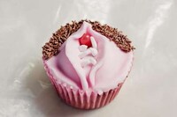 Genitalia Cupcake Books