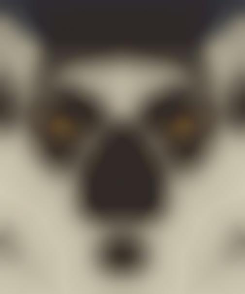 Wildlife Creature Close-Ups