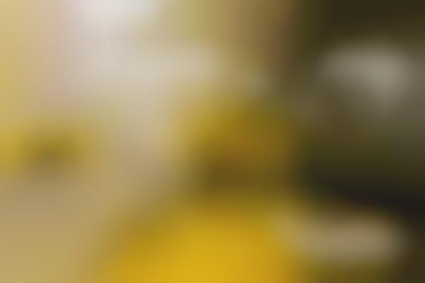 Boxy Yellow Bakeries