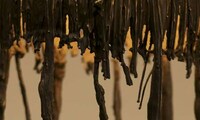Wicked Wax Furnishings Image 7