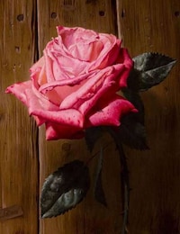 Realistic Rose Renderings Image 2