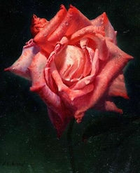 Realistic Rose Renderings Image 6
