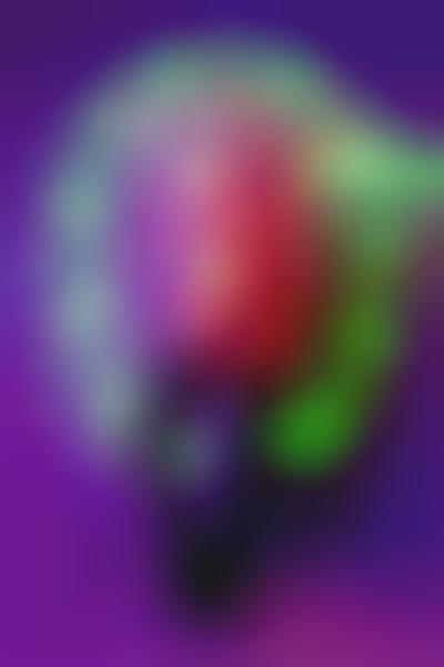 Prismatic Neon Photography