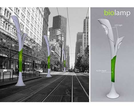 17 Eco Street Light Concepts