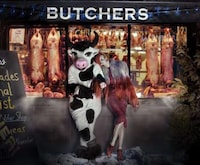 Couture Cattle Shoots Image 2