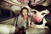 Couture Cattle Shoots Image 3