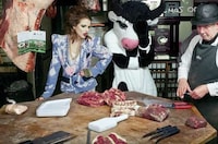 Couture Cattle Shoots Image 5