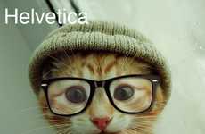 Kitty-Inspired Fonts