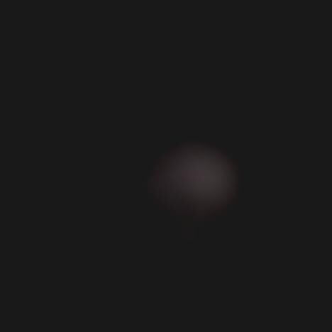 Pitch Black Portraiture