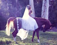 Equestrian Bridal Editorials Image 7