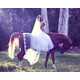 Equestrian Bridal Editorials Image 7