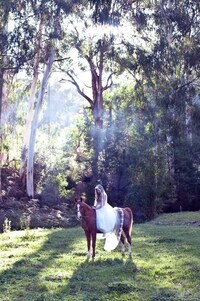 Equestrian Bridal Editorials Image 8