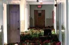 Deliberately Overgrown Hospitals