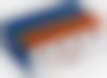 Cardboard Critter Carriers