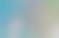 Cotton Candy Captures