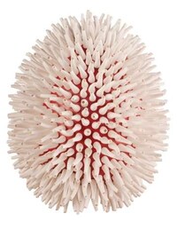 Designer Egg Exhibits Image 6