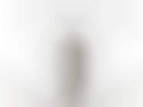 Vase-Like Air Purifiers