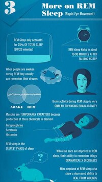 Realistic Rest Guides  Image 5
