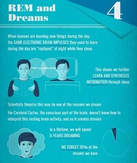 Realistic Rest Guides  Image 6