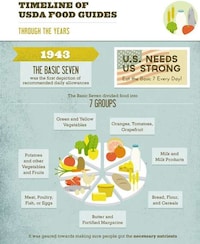 Healthy Diet Infographics  Image 3