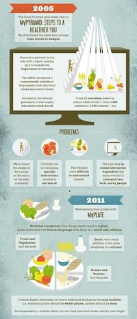 Healthy Diet Infographics  Image 6