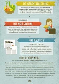 Healthy Diet Infographics  Image 8