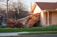Vomiting House Art Image 3