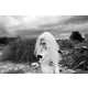 Haunting Bride Photography Image 7