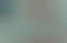 Linguistic Pace Reviews