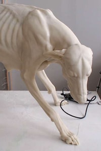 Ground Bone Sculptures Image 7