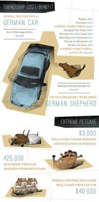 Animal Lover Budget Guides Image 5