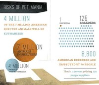 Animal Lover Budget Guides Image 6