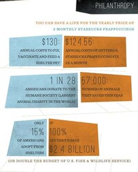 Animal Lover Budget Guides Image 7