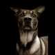 Heart-Wrenching Canine Portraits Image 7