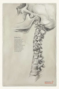 Skeletal Exercise Ads Image 2