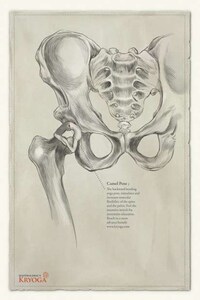 Skeletal Exercise Ads Image 3