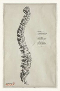 Skeletal Exercise Ads Image 4