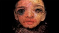 Deformed Visage Videos