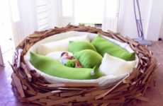 Brainstorm-Inducing Nests