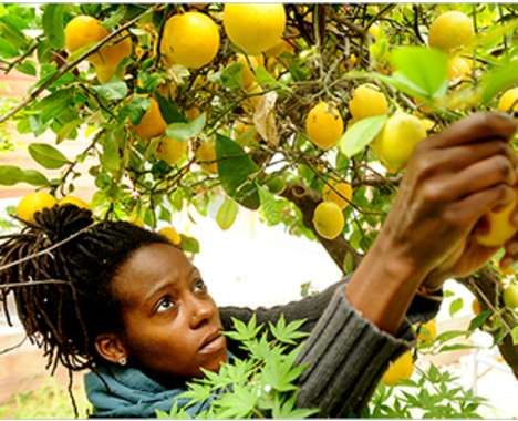 24 Local Food Innovations
