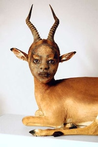 Haunting Humanimal Sculptures Image 2