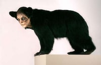 Haunting Humanimal Sculptures Image 5
