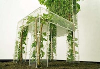 Plant-Infused Seating Image 2