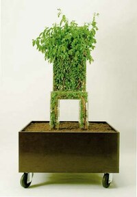 Plant-Infused Seating Image 3